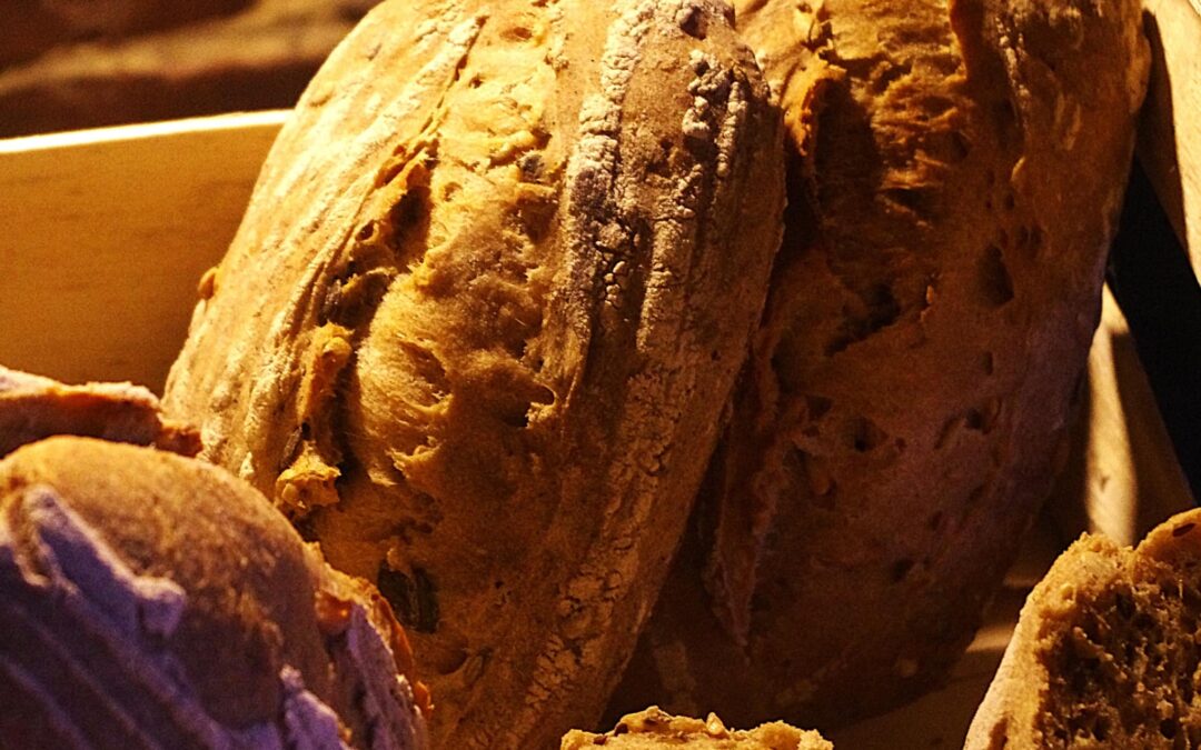 Dépôt de pain au levain bio